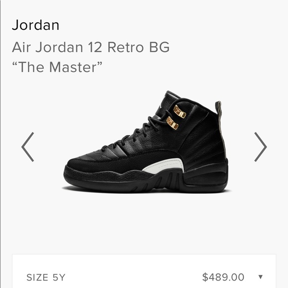 Jordan Shoes - 🎉2XHP🎉Air Jordan 12 Retro “The Master” BG